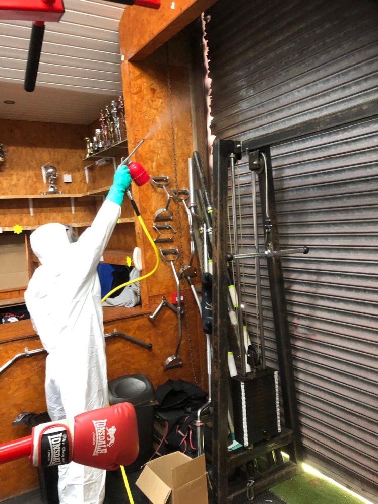 corona virus Cleaning
